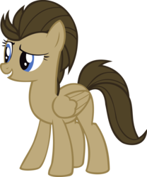 Size: 1024x1230 | Tagged: safe, artist:blah23z, edit, doctor whooves, lightning dust, time turner, g4, fusion, recolor, rule 63, simple background, solo, the doctoress, transparent background, vector