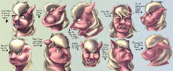 Size: 2300x950 | Tagged: safe, artist:mindmendereoin, big macintosh, earth pony, pony, g4, facial expressions, faic, male, semi-realistic, solo, stallion