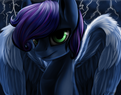 Size: 2293x1800 | Tagged: safe, artist:xxcrazzzyxx, oc, oc only, oc:peacekeeper, pegasus, pony, solo, thunder