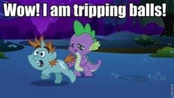 Size: 300x169 | Tagged: safe, screencap, snips, spike, g4, image macro, meme, picture for breezies, stoner spike, text