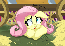 Size: 1980x1400 | Tagged: safe, artist:joakaha, fluttershy, g4, scare master, cart, dialogue, female, floppy ears, scared, scene interpretation, signature, solo, sweatdrop, wide eyes