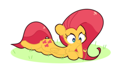 Size: 2000x1200 | Tagged: safe, artist:turtlefarminguy, fluttershy, ladybug, g4, female, lying, simple background, solo, transparent background