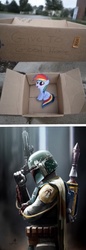 Size: 483x1401 | Tagged: safe, rainbow dash, pegasus, pony, fanfic:my little dashie, g4, boba fett, box, exploitable meme, meme, neutral people finding dash meme