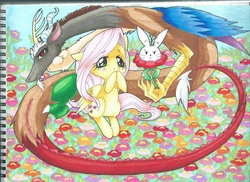 Size: 2338x1700 | Tagged: safe, artist:darknessa-desu, angel bunny, discord, fluttershy, g4, flower, flower field, traditional art, trolling