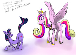 Size: 1008x730 | Tagged: safe, artist:xbi, princess cadance, twilight sparkle, alicorn, pony, unicorn, g4, bedroom eyes, female, hoers, looking at butt, mare, sunshine sunshine, wingboner