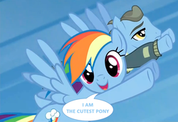 Size: 974x668 | Tagged: safe, screencap, rainbow dash, wind rider, pegasus, pony, g4, rarity investigates, cute, dashabetes, female, flying, image macro, looking at you, male, mare, meme, open mouth, smiling, speech bubble, stallion, text
