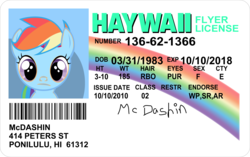 Size: 4775x3000 | Tagged: safe, artist:mandydax, scootaloo, g4, disguise, female, id card, license, mclovin, paint on fur, parody, solo, superbad
