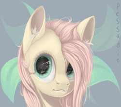 Size: 2598x2309 | Tagged: safe, artist:pessadie, fluttershy, pegasus, pony, g4, ear fluff, eye reflection, female, high res, mare, smiling, solo