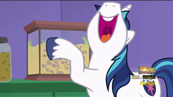 Size: 1920x1080 | Tagged: safe, screencap, shining armor, g4, the one where pinkie pie knows, ant farm, cute, happy, horse noises, male, mawshot, nose in the air, open mouth, shining adorable, smiling, solo, uvula, volumetric mouth