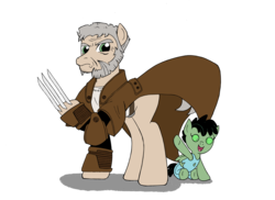 Size: 3508x2552 | Tagged: safe, artist:edcom02, artist:jmkplover, earth pony, pegasus, pony, bruce banner jr., claws, clothes, coat, foal, high res, logan, marvel, old man logan, ponified, simple background, the incredible hulk, transparent background, trenchcoat, wolverine, x-men