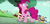 Size: 1360x656 | Tagged: safe, screencap, applejack, fluttershy, pinkie pie, rarity, twilight sparkle, alicorn, earth pony, pony, g4, my little pony: friendship is magic, the one where pinkie pie knows, behaving like a dog, discovery family, discovery family logo, fence, logo, puppy pie, tongue out, tree, twilight sparkle (alicorn)