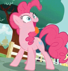 Size: 362x380 | Tagged: safe, screencap, fluttershy, pinkie pie, earth pony, pegasus, pony, g4, season 5, the one where pinkie pie knows, animated, behaving like a dog, cute, diapinkes, female, loop, mare, open mouth, panting, ponk, puppy pie, silly, silly pony, smiling, solo focus, tongue out