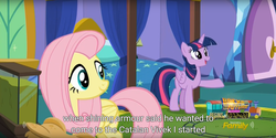 Size: 1915x960 | Tagged: safe, screencap, fluttershy, twilight sparkle, alicorn, pony, g4, my little pony: friendship is magic, the one where pinkie pie knows, female, mare, meme, twilight sparkle (alicorn), youtube caption