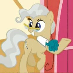 Size: 365x368 | Tagged: safe, screencap, mayor mare, earth pony, pony, g4, season 5, the one where pinkie pie knows, animated, cute, excited, female, gif, glasses, grin, mare, mayorable, ponyville town hall, raised hoof, smiling, solo, trotting, trotting in place