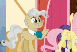Size: 623x417 | Tagged: safe, screencap, fluttershy, mayor mare, rarity, earth pony, pony, g4, the one where pinkie pie knows, animated, cute, female, mare, mayorable, ponyville town hall, puffy cheeks