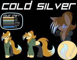 Size: 1280x996 | Tagged: safe, artist:silverfox057, oc, oc only, oc:cold silver, clothes, fangs, hoodie, reference sheet, socks, solo