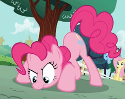 Size: 1083x852 | Tagged: safe, screencap, fluttershy, pinkie pie, rainbow dash, earth pony, pegasus, pony, g4, season 5, the one where pinkie pie knows, animated, behaving like a dog, face down ass up, female, loop, mare, ponk, puppy pie, sniffing