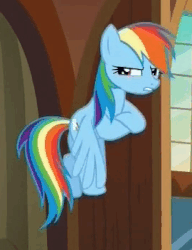 Size: 270x352 | Tagged: safe, screencap, rainbow dash, pony, g4, the one where pinkie pie knows, animated, female, flying, loop, solo, unamused