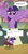 Size: 460x879 | Tagged: safe, edit, screencap, fluttershy, twilight sparkle, alicorn, ant, pony, g4, my little pony: friendship is magic, the one where pinkie pie knows, 1000 hours in ms paint, female, mare, ms paint, pun, twilant, twilight sparkle (alicorn)