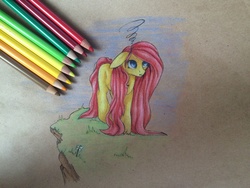 Size: 2560x1920 | Tagged: safe, artist:kindly-fox, fluttershy, pony, g4, colored pencil drawing, female, high res, mare, missing cutie mark, simple background, solo, standing, three quarter view, traditional art, wingless