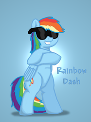 Size: 676x903 | Tagged: safe, artist:ljdamz1119, rainbow dash, g4, female, monochrome, solo, sunglasses