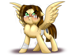 Size: 1400x1050 | Tagged: safe, artist:dragonfoxgirl, oc, oc only, oc:kite, pegasus, pony, behaving like a bird, blushing, chest fluff, impossibly large chest fluff, peacocking, puffy cheeks, simple background, solo, threat display, transparent background