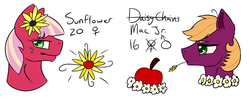 Size: 1024x410 | Tagged: dead source, safe, artist:tobisio, daisy, flower wishes, oc, oc:daisy chains, oc:mac jr, oc:sunflower kisses, g4, cutie mark, female to male, offspring, parent:big macintosh, parent:cheerilee, parents:cheerimac, transgender