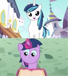 Size: 358x400 | Tagged: safe, edit, screencap, shining armor, twilight sparkle, a canterlot wedding, g4, cursed image, face swap, filly, filly twilight sparkle, meme, not salmon, twily, twily face, wat