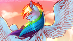 Size: 1920x1080 | Tagged: safe, artist:t1n-can, rainbow dash, g4, cloud, cloudy, female, looking back, rear view, sky, smiling, solo, spread wings, windswept mane