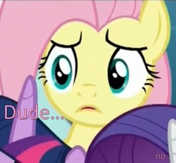 Size: 921x853 | Tagged: safe, screencap, fluttershy, g4, the one where pinkie pie knows, dude, image macro, meme, reaction image