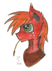Size: 763x1048 | Tagged: safe, artist:mane-shaker, big macintosh, earth pony, pony, g4, colored, male, solo, stallion, traditional art, watercolor painting