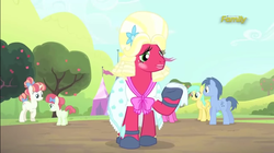 Size: 855x480 | Tagged: safe, big macintosh, blues, cherry berry, noteworthy, rainberry, rainbow stars, sunshower raindrops, earth pony, pony, brotherhooves social, g4, crossdressing, male, orchard blossom, stallion