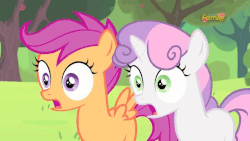 Size: 718x404 | Tagged: safe, screencap, scootaloo, sweetie belle, brotherhooves social, g4, animated, discovery family logo, female, open mouth, reaction image, shocked