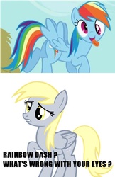 Size: 555x854 | Tagged: safe, derpy hooves, rainbow dash, pegasus, pony, g4, derp, female, image macro, mare, meme