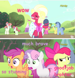 Size: 854x886 | Tagged: safe, edit, edited screencap, screencap, apple bloom, big macintosh, blues, cherry berry, noteworthy, rainberry, rainbow stars, scootaloo, sunshower raindrops, sweetie belle, earth pony, pegasus, pony, unicorn, brotherhooves social, g4, bloomers, butt, clothes, comic sans, cutie mark crusaders, discovery family, discovery family logo, doge, dress, female, filly, foal, image macro, lipstick, logo, makeup, male, mare, meme, orchard blossom, pink text, plot, purple text, stallion