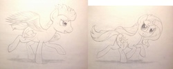 Size: 1414x564 | Tagged: safe, artist:thefriendlyelephant, flash sentry, sunset shimmer, pegasus, pony, unicorn, g4, collaboration, duo, lineart, racing, running, sketch, traditional art