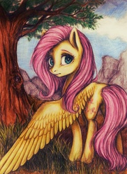 Size: 1081x1488 | Tagged: safe, artist:su50, fluttershy, pegasus, pony, g4, female, large wings, looking at you, looking back, looking back at you, mare, rear view, solo, traditional art, tree