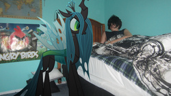 Size: 4000x2248 | Tagged: safe, artist:metalgriffen69, queen chrysalis, human, g4, bed, brony, irl, irl human, photo, ponies in real life