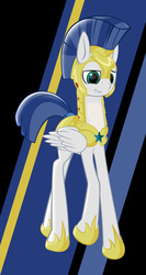 Size: 640x1200 | Tagged: safe, artist:styroponyworks, male, royal guard, solo