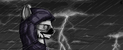 Size: 1462x591 | Tagged: safe, artist:yahmos, zebra, clothes, male, portrait, rain, solo