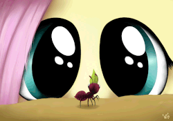 Size: 1440x1008 | Tagged: safe, artist:wolverfox, fluttershy, ant, g4, the one where pinkie pie knows, animated, ant farm, cute, eye shimmer, eyes, female, scene interpretation, shyabetes, solo