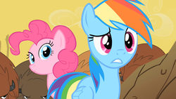 Size: 1280x720 | Tagged: safe, screencap, pinkie pie, rainbow dash, bison, buffalo, earth pony, pegasus, pony, g4, over a barrel, confused, desert, female, unnamed buffalo, unnamed character