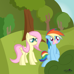 Size: 1600x1600 | Tagged: safe, artist:nevaylin, fluttershy, rainbow dash, butterfly, g4, colored pupils, duo, sitting, smiling