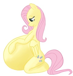 Size: 700x728 | Tagged: safe, artist:putinforgod, fluttershy, g4, anatomically incorrect, female, impossibly large belly, incorrect leg anatomy, pregnant, pregshy, sitting, solo