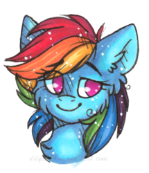 Size: 456x531 | Tagged: safe, artist:tay-niko-yanuciq, rainbow dash, g4, ear fluff, female, portrait, simple background, smiling, solo, traditional art, transparent background