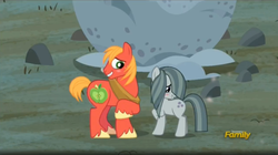 Size: 1667x932 | Tagged: safe, screencap, big macintosh, marble pie, earth pony, pony, g4, hearthbreakers, blushing, cute, discovery family logo, grin, holder's boulder, looking away, male, raised hoof, shipping fuel, shy, smiling, stallion