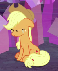 Size: 376x460 | Tagged: safe, screencap, applejack, earth pony, pony, g4, hearthbreakers, applejack's hat, cowboy hat, cropped, crying, crying on the outside, eyes closed, female, floppy ears, frown, hat, sitting, solo