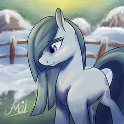 Size: 1024x1024 | Tagged: safe, artist:myralilth, marble pie, g4, hearthbreakers, female, solo