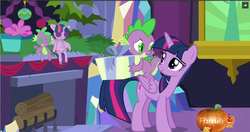 Size: 1376x728 | Tagged: safe, screencap, spike, twilight sparkle, alicorn, dragon, pony, g4, hearthbreakers, cute, discovery family logo, doll, dragons riding ponies, duo, eye contact, female, fireplace, hearth's warming doll, hearth's warming eve, looking back, male, mare, palindrome get, present, riding, smiling, spike riding twilight, toy, twilight sparkle (alicorn)