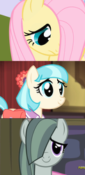 Size: 1072x2200 | Tagged: safe, edit, edited screencap, screencap, coco pommel, fluttershy, marble pie, earth pony, pegasus, pony, friendship is magic, g4, hearthbreakers, cocobetes, comparison, cute, female, hair over one eye, marblebetes, mare, moe, shy, shyabetes, smiling, sweet dreams fuel, the council of shy ponies